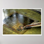 Serenity posters