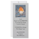 SERENITY PRAYER: ROBIN: SNOW: BIRD ART rack cards