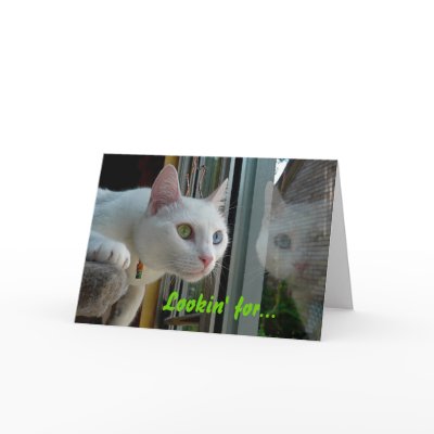 Serenity Valentine Card - Customised by odd_eyed
