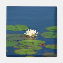 Serenity Water Lily Refrigerator Magnets