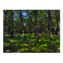 Serenity Woods Postcard