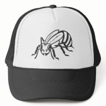 Serious Honey Bee in Black and White