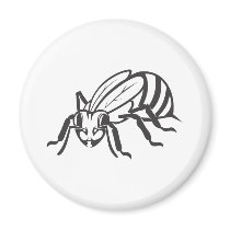 Serious Honey Bee in Black and White