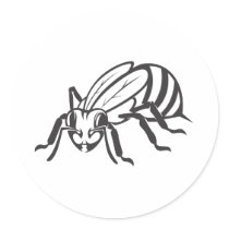 Serious Honey Bee in Black and White