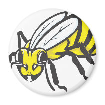 Serious Honey Bee Insect