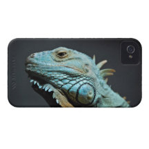 Serious Iguana Portrait iPhone 4 Cover