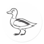 Serious Mallard Duck Bird in Black and White stickers