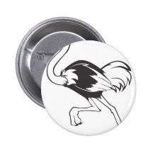 Serious Ostrich Bird in Black and White Pin