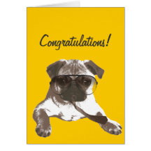Serious Pug Congratulations Greeting Card