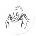 Serious Scorpion Insect in Black and White