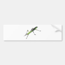 Serious Stick Insect Bumper Sticker