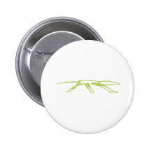 Serious Stick Insect Buttons