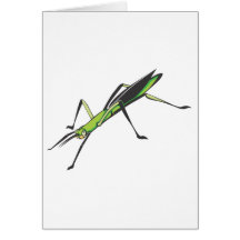 Serious Stick Insect Cards