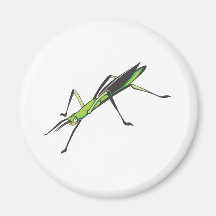 Serious Stick Insect Magnet