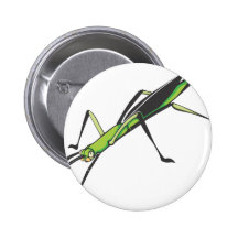 Serious Stick Insect Pins