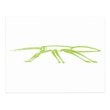 Serious Stick Insect Postcard