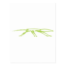 Serious Stick Insect Postcards