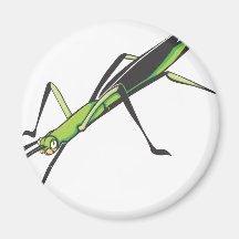 Serious Stick Insect Refrigerator Magnet