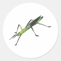 Serious Stick Insect Round Stickers