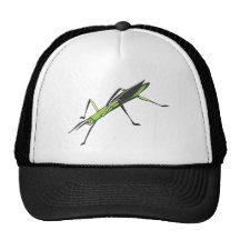 Serious Stick Insect Trucker Hats