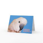 Seriously Speaking Birthday cards
