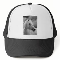 Serne Composition Mesh Hats