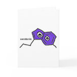 Serotonin Neurotransmitter Cards
