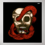 Serpent & Skull (Fire-Red) Poster