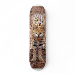 serval 018 skateboards