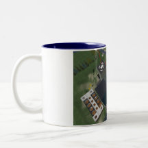 Sescond Life  Aerial of MATC Island Mugs