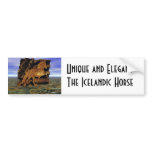 Set in Stone Bumper Stickers