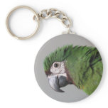 Severe Macaw Keychain