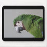 Severe Macaw Mousepad