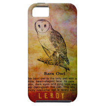 Severely cool barn owl