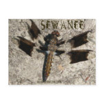 Sewanee Dragonfly - OlioStudios.com Postcards