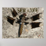 Sewanee Dragonfly Posters