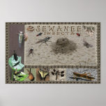 Sewanee - Insecta - OlioStudios.com Print