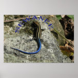 Sewanee Reptile - OlioStudios.com Print