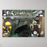 Sewanee Thallophyta - OlioStudios.com Posters