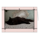 Sex Kitten cards