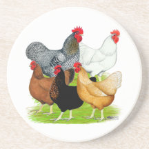Sex-linked Chickens Quintet Beverage Coasters
