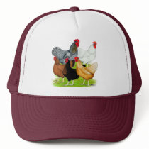 Sex-linked Chickens Quintet Mesh Hats