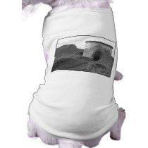 Sexton Burrow Lookout Tower. England Dog T Shirt