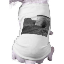 Sexton Burrow Lookout Tower. England Pet T Shirt