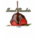 Sexual Chocolate Logo Tee t-shirts