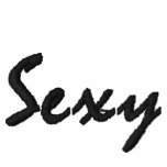 Sexy embroidered shirts
