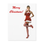 Sexy Palin Christmas(t shirt, xmas cards, buttons) postcards