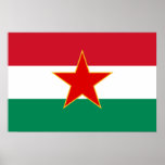 Sfr Yugoslav Hungarian Minority, ethnic flag posters