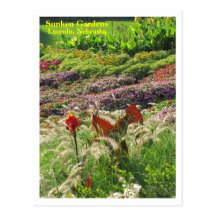 SG Lincoln, NE Postcard #155YN  0155