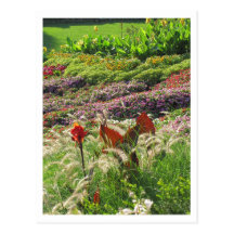 SG Lincoln, NE Postcard #5N  05